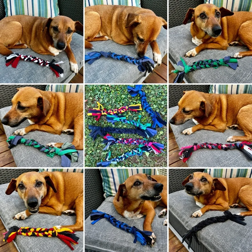 Colorful Dog Tug Toy - Braided Upcycled
